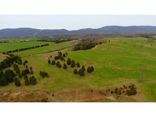 Property photo 21 - LAND AUCTION - 533+/- ACRES OFFERED IN 5 TRACTS IN HARDY COUNTY, WEST VIRGINIA